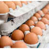 ​Good protein