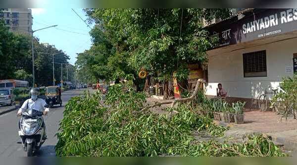 Tree branch falls in Kandivali