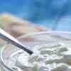 Article image for: <i class="tbold">dairy</i>