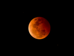 Lunar Eclipse 2021: How the supermoon will affect your zodiac sign