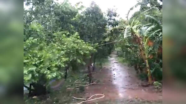 Photos of Cyclone Yaas impact on Odisha, West Bengal