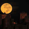 Chandra Grahan 2021: Total lunar eclipse dazzles as it coincides with supermoon