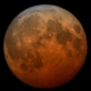 Super Flower Blood Moon Lunar Eclipse May 2021 (NASA Instagram Photo)