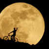 A 'Super Flower Moon' view from Arguineguin