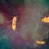 ​What is aspergillosis?