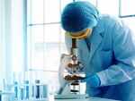 Different types of fungal infections have been detected in India