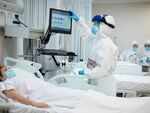 What is mucormycosis?