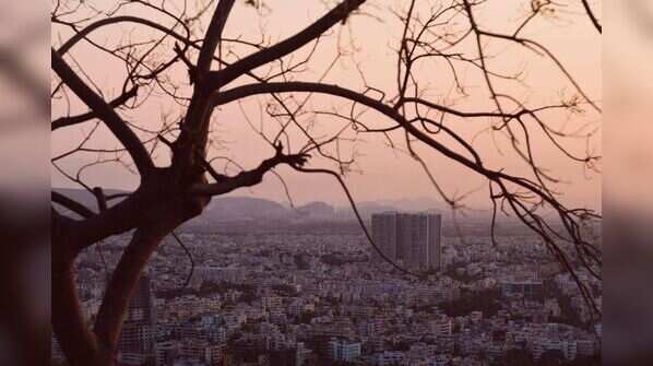 City view through a dry tree in vizag