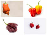 Will you try these 8 hottest chilli peppers?