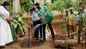 On the occasion of World Environment Day, Anil Kapoor was seen attending at a tree plantation drive in Juhu