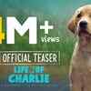 Article image for: 777<i class="tbold"> Charlie</i> - Official Hindi Teaser