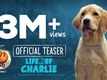 777 Charlie - Official Telugu Teaser