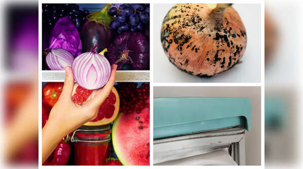 Is your fridge a breeding ground for black fungus?