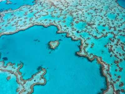 The Great Barrier Reef