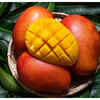 Article image for: What is <i class="tbold">Noorjahan</i> Mango?