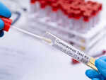 ​What do the researchers suggest?