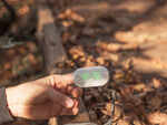 ​6-minute walk test