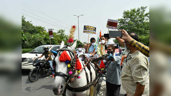 Fuel price hike protest: These photos will catch your attention