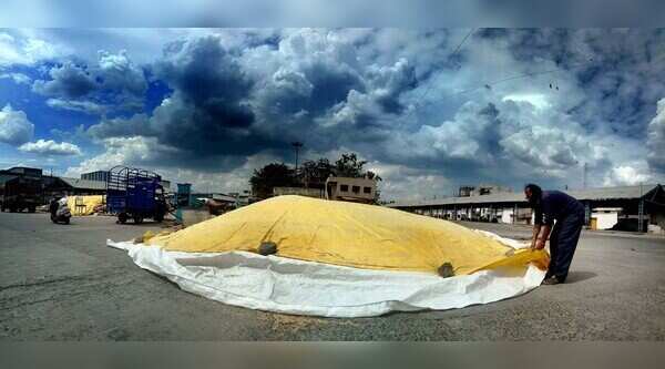 The best of TOI photos from Indore