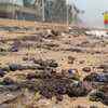 Tarballs washed ashore Juhu Beach on Tuesday morning
