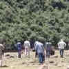 Article image for: Watch: <i class="tbold">bomb disposal squad</i> neutralises 17 grenades in Poonch