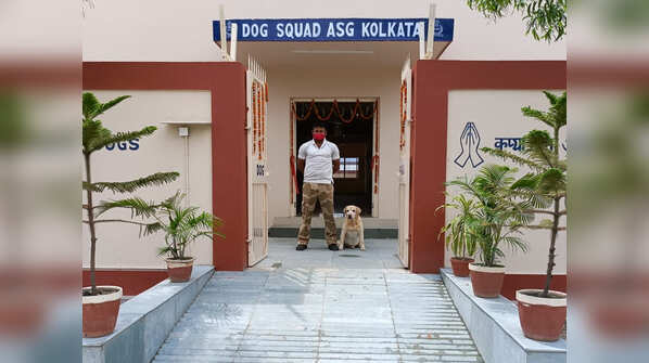 Photos: CISF dog squad's plush AC home with swimming pool
