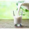 ​Warm Milk
