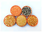 ​Why pulses are important