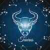 Taurus