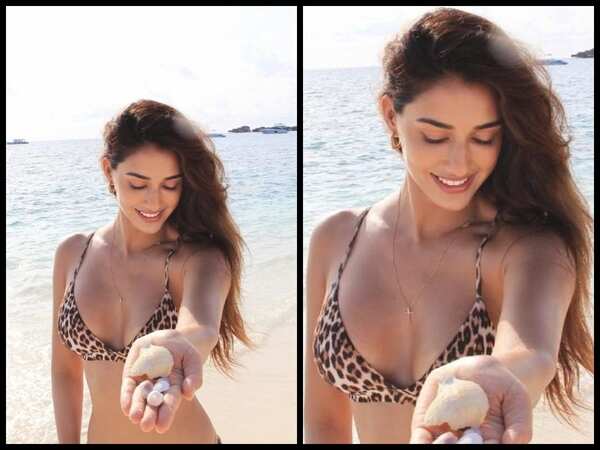 Disha Patani Pictures
