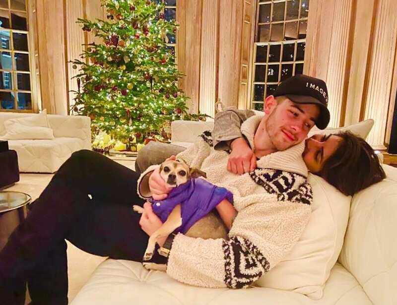 Celebrity pets who are Instagram superstars