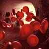 Regulate blood sugar