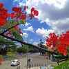 Garden city with blue sky