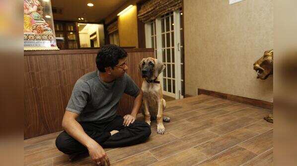 Raj Thackeray's pet James passes away; MNS chief bids teary goodbye