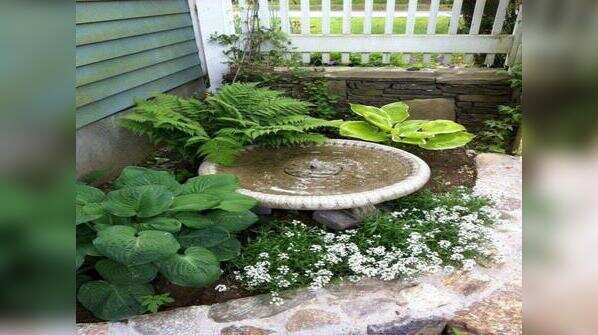 Water is obvious