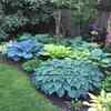 Article image for: Know your plants