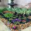 Feed the plants properly