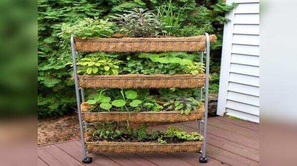 Consider the soil