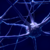 ​Neurological benefits