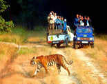20 best National Parks for wildlife tourism in India