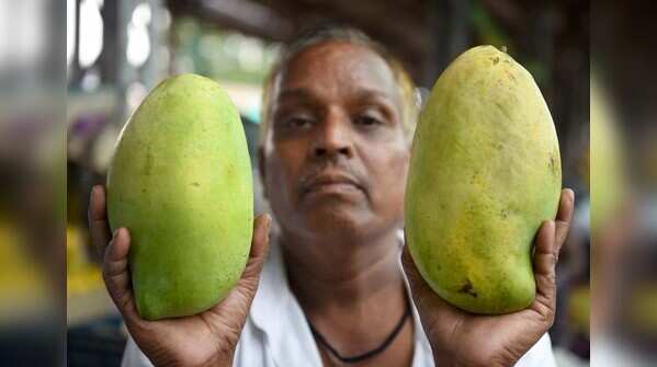 Nurjahan mango