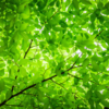 colour psychology: what your favourite colour reveals about your ...