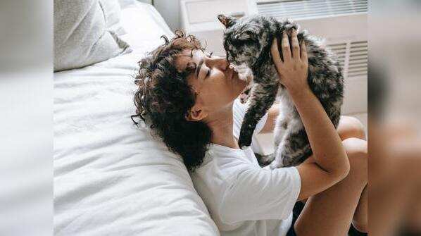 Loving another animal is like honoring them
