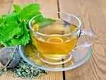 ​Herbal tea