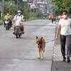 Walking