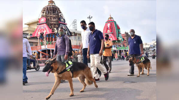 Photos: Puri gears up for Jagannath Rath Yatra