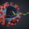 Will the vaccine be effective against the new variants?