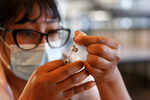 What is a booster vaccine shot?