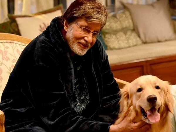 Amitabh Bachchan