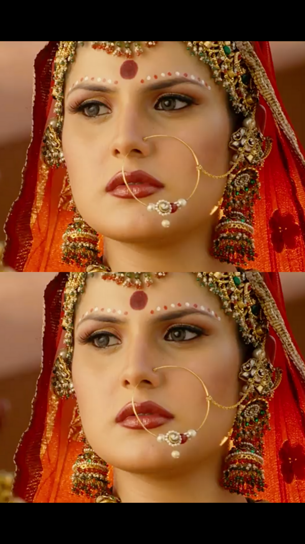 zarine khan Photos